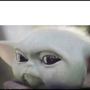 Meet your Posher, Jessalyn